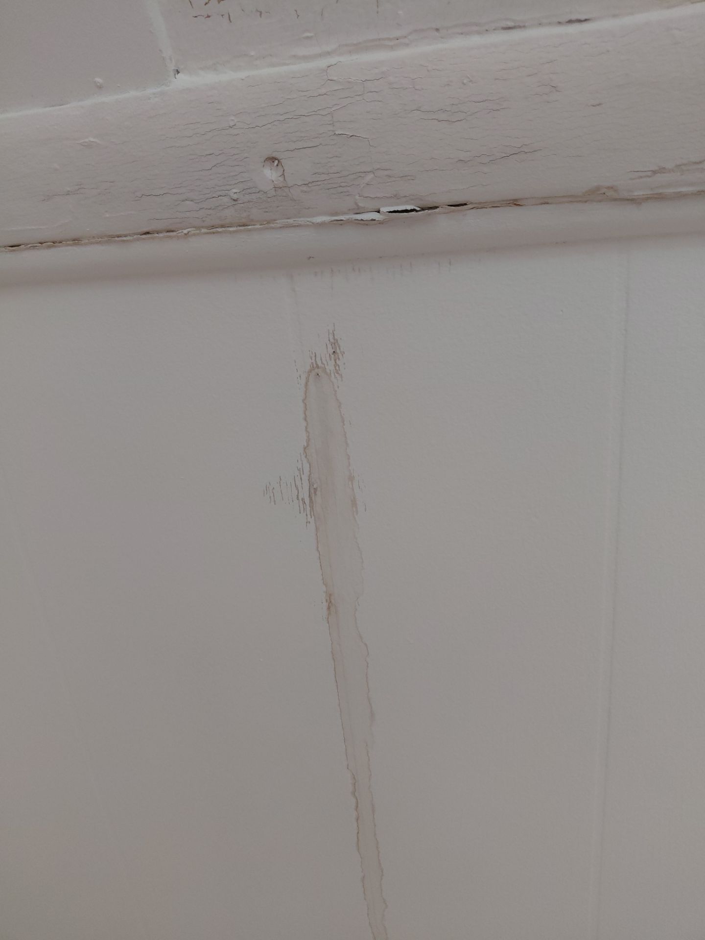 Arlington: Residential Roof Replacement with CertainTeed Landmark PRO in Max Def Colonial Slate by RM Banning, Inc.