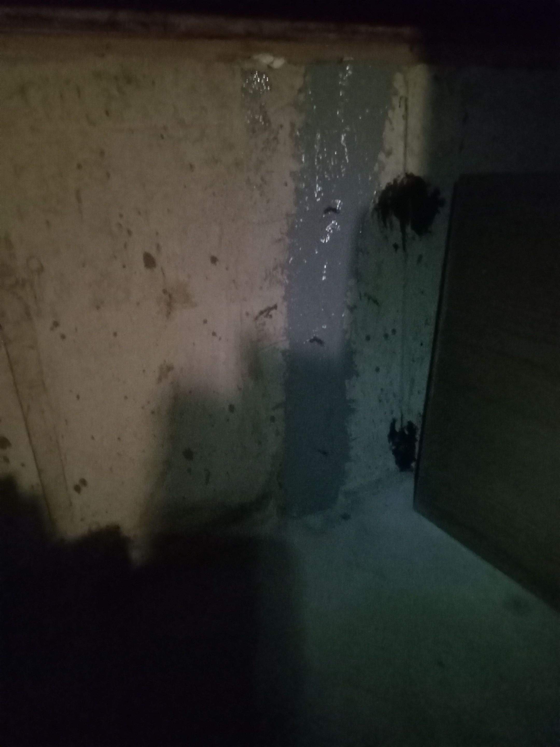 Foundation Crack Injection ā Crawl Space by Allied Water Services