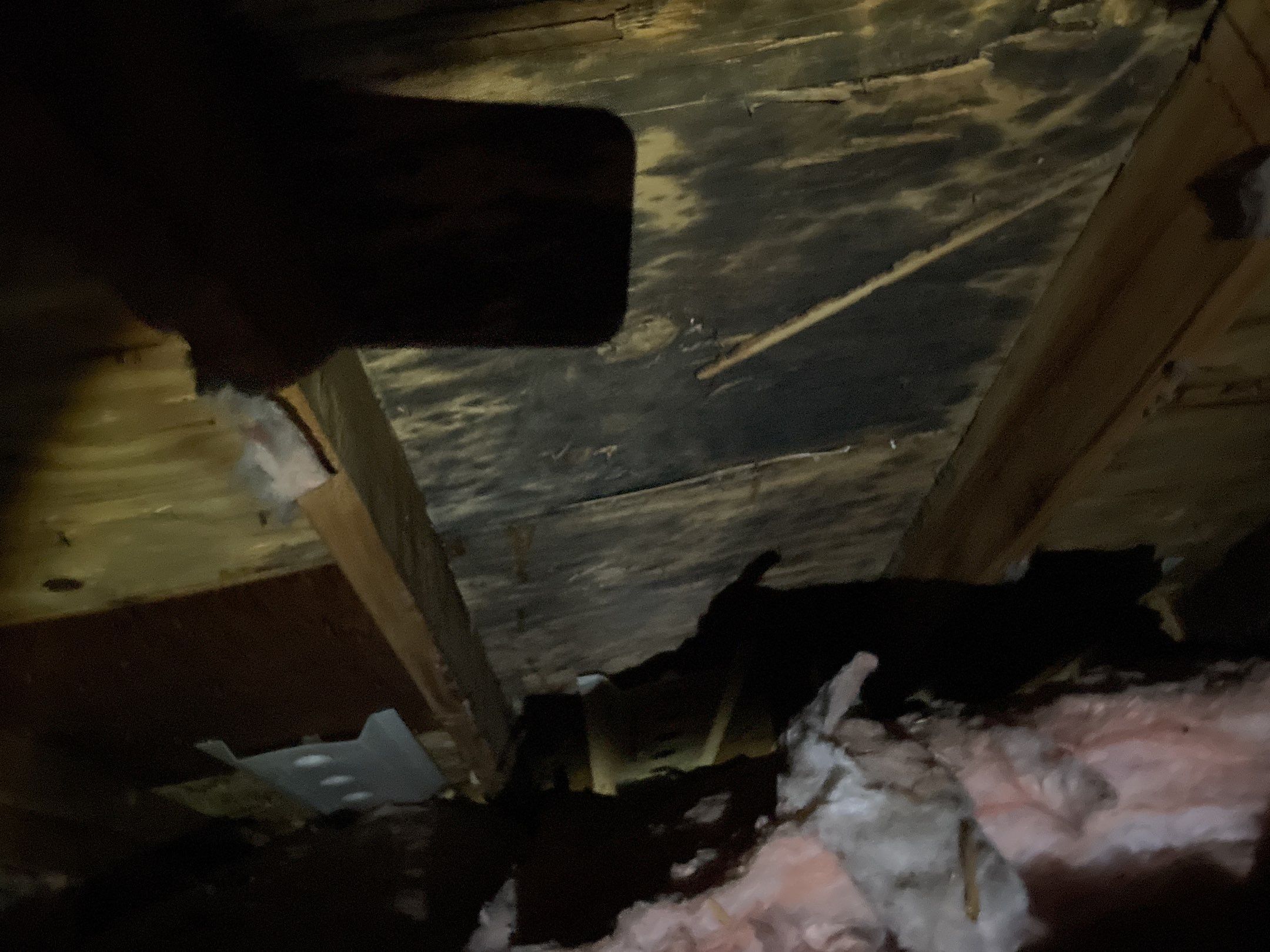 Roof Replacement using CertainTeed Landmark by 180 Contractors