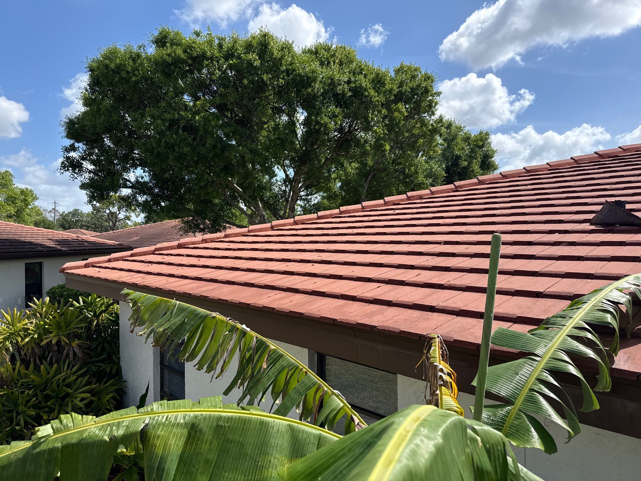 Tile Roof Cleaning in Vivienda at Bradenton, FL | No Roof Walking Method by Sunshine AquaWash