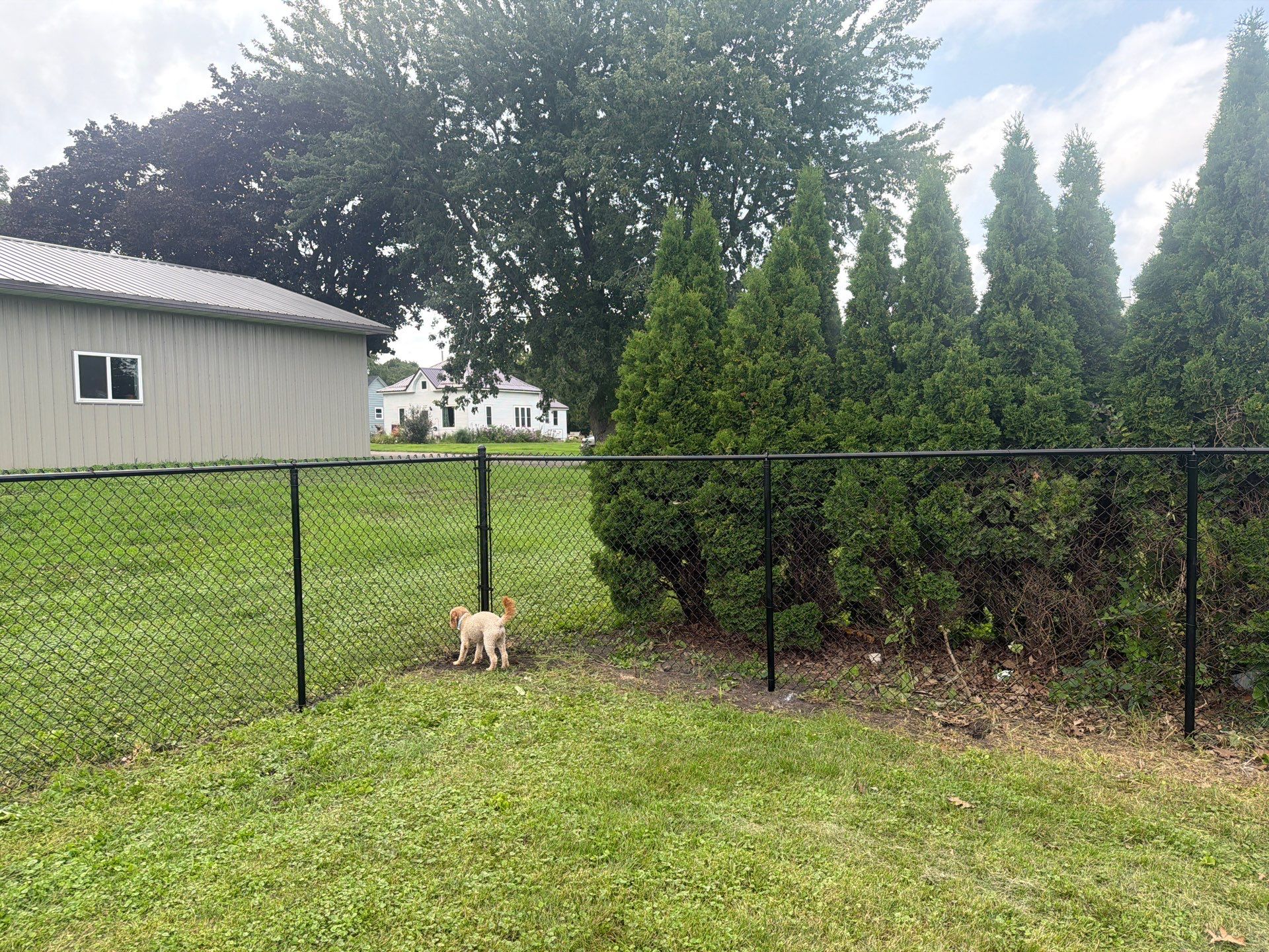 Residential Black Chain Link Fence Installation in Reinbeck by Perfect Picket Fence and Stain