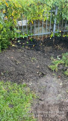 Landscape Design