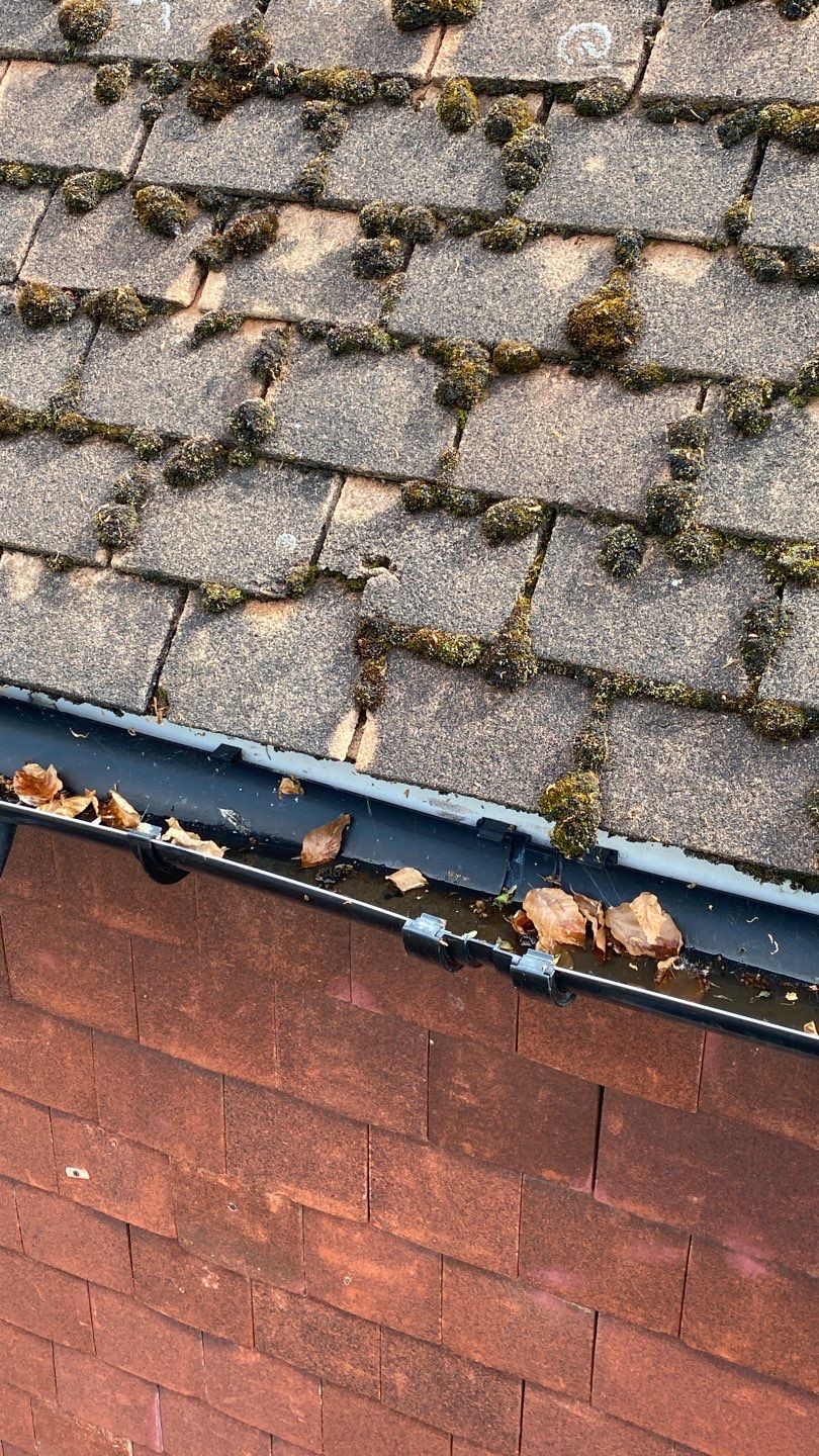 Roof Clean - Moss Removal using Honda 15lpm Low Pressure Washing Machine by Ges Exterior Cleaning ltd
