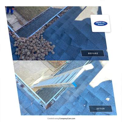 Gutters Clogged with Itchy balls 