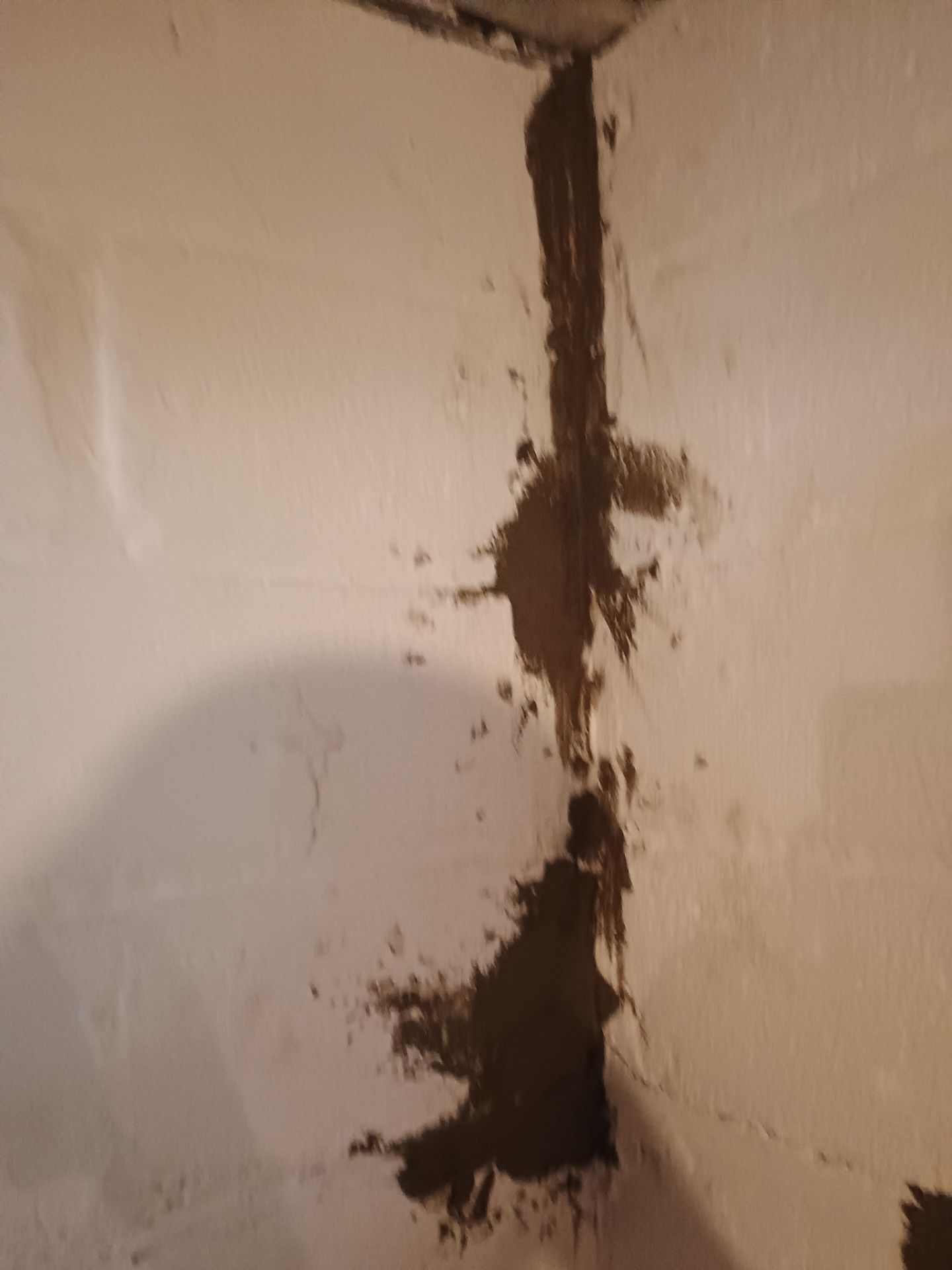 Updating Taylor's Waterproofing System by Waterproofing Northeast