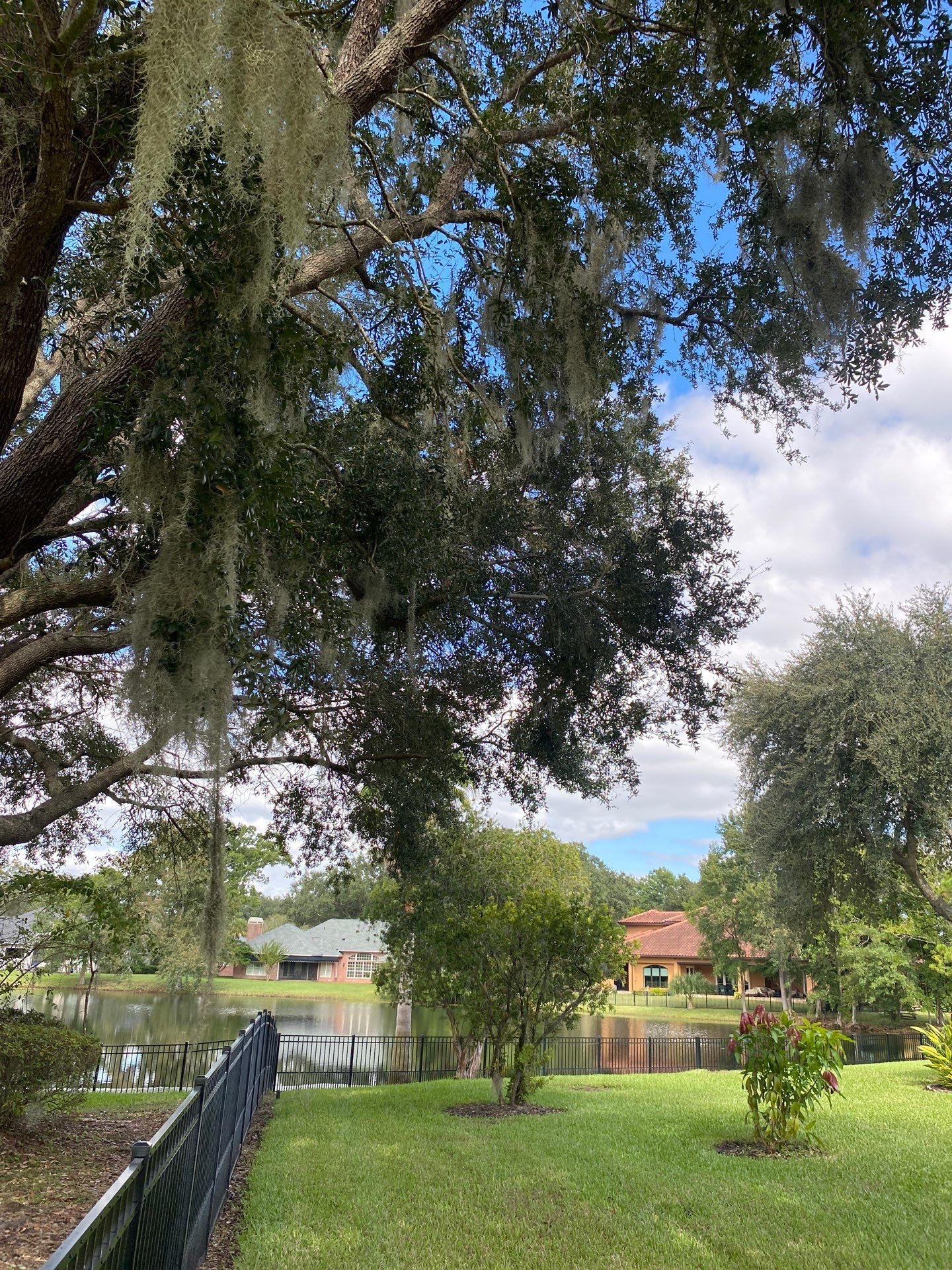 Deerwood | Tree Trimming & Sod Install | Residential by ProGreen Services