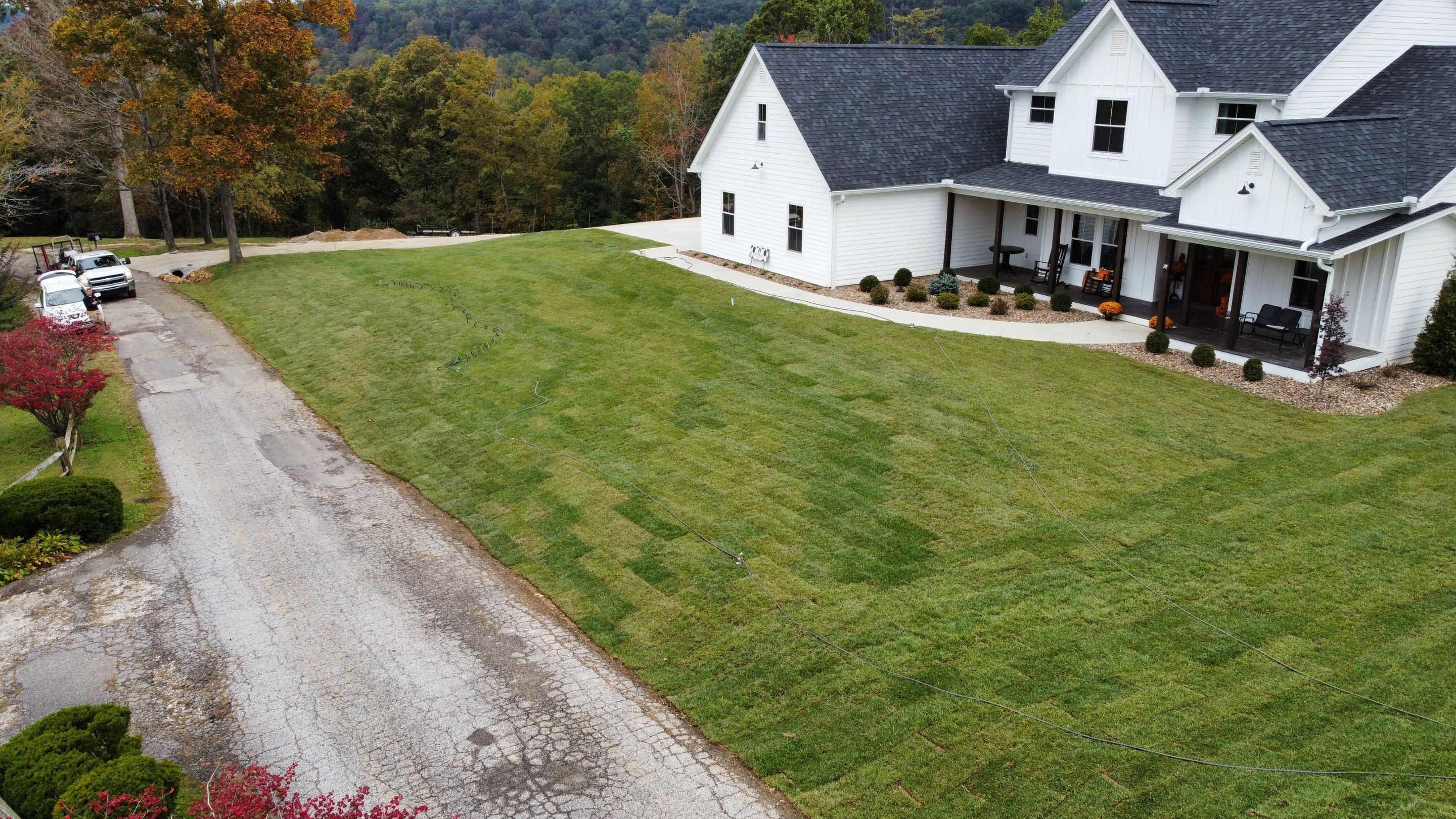 Sod Installation using Fescue Sod by GrassBusters, Inc.