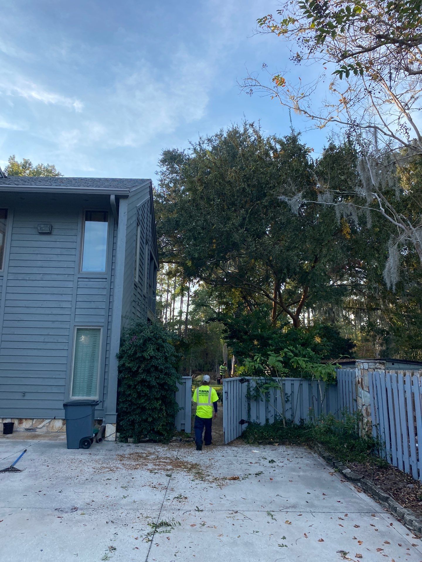 Deerwood Resident | Tree Trimming & Removal by ProGreen Services