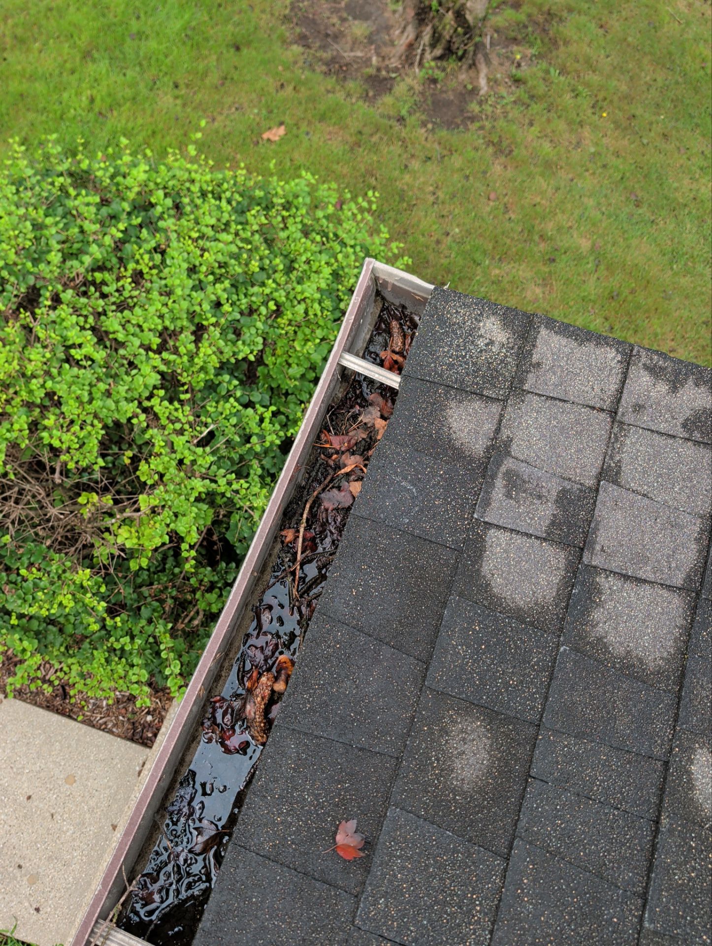 HOA gutter cleaning before photo