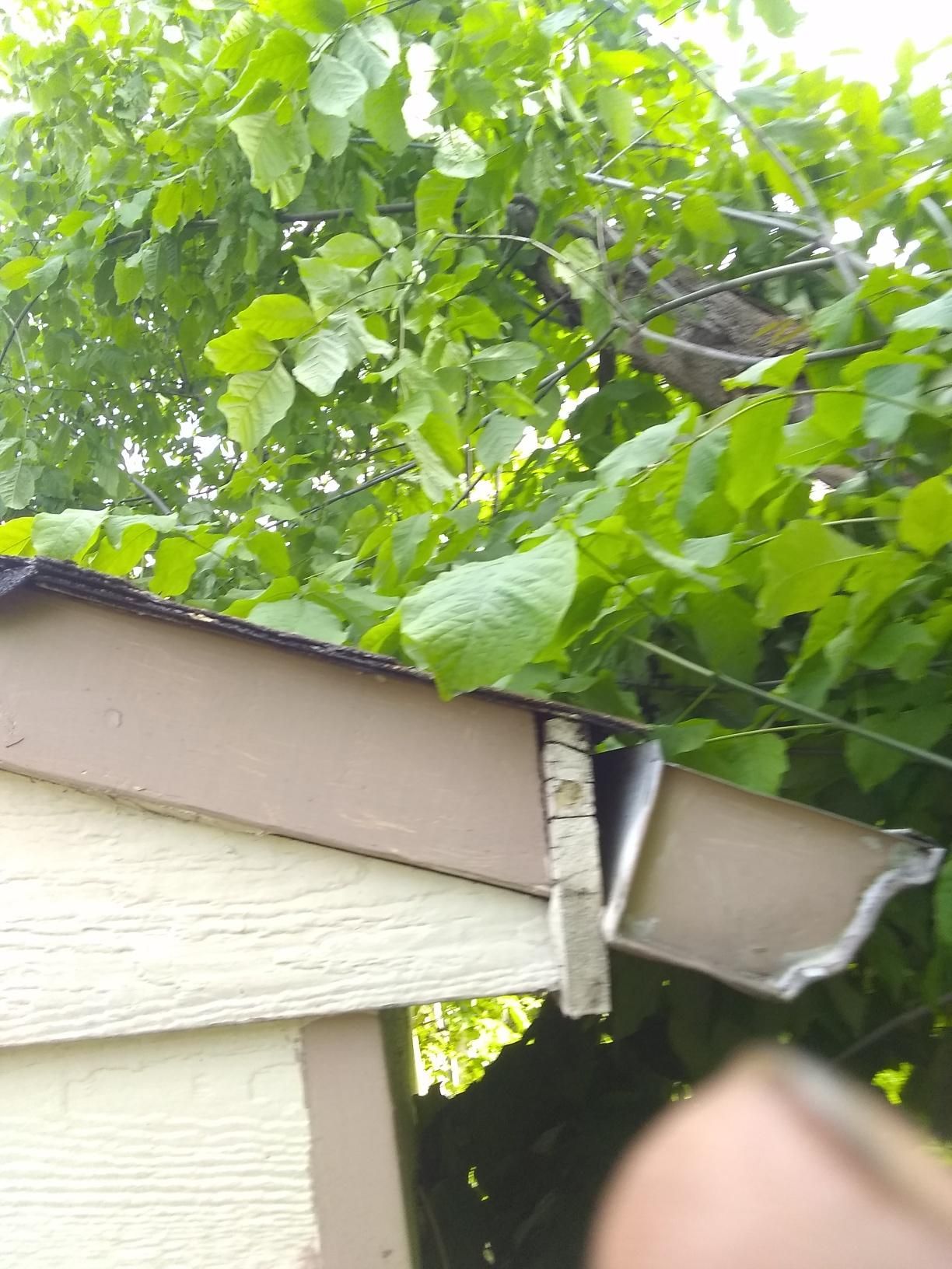 Tree Removal using Tree Removal by Mike Jones & Sons Tree Service LLC 