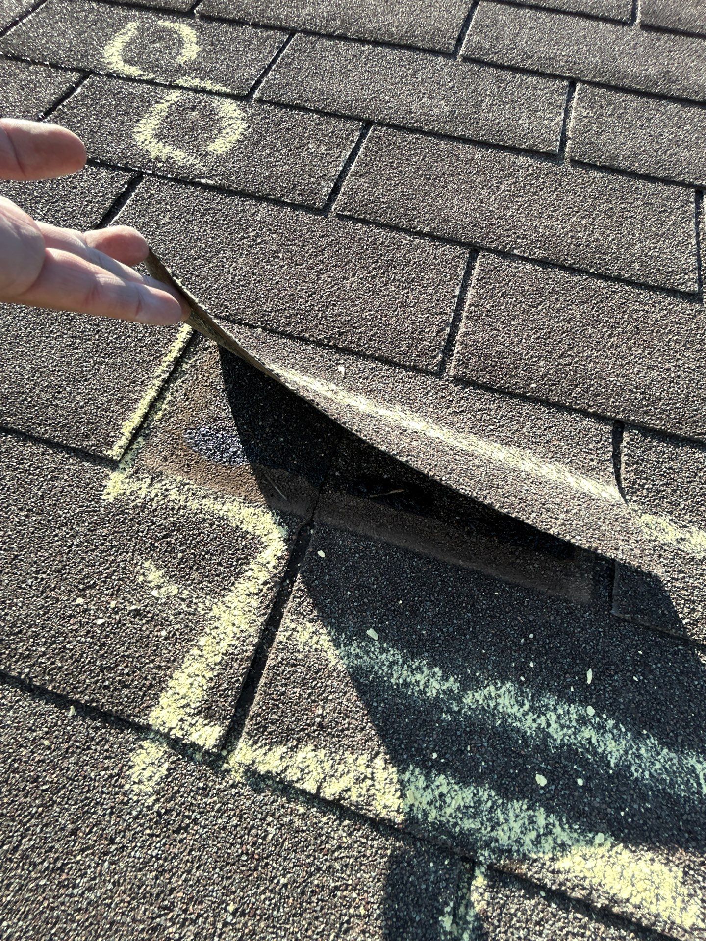 Miss Bridgette by REPS Austin Area Roofer