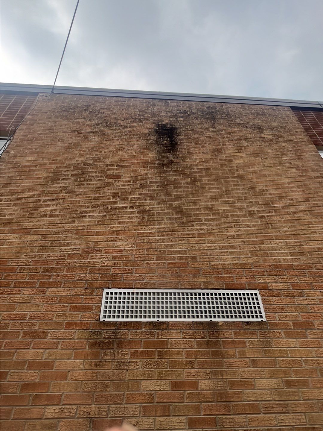 Commercial brick exterior cleaning by Northern Power Washing LLC.