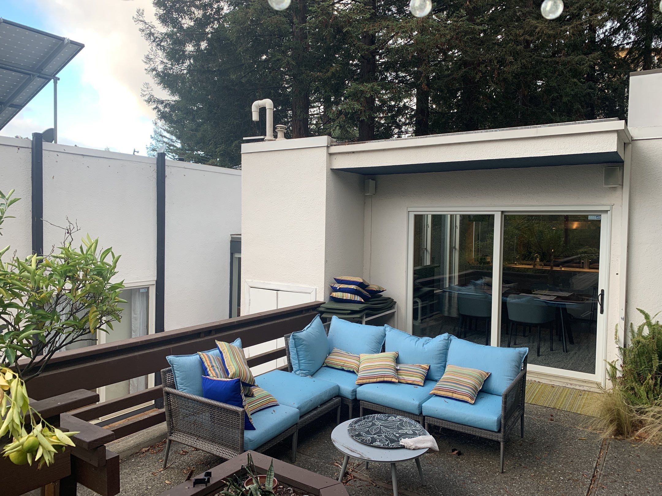 Elise Hurwitz’ Window Clean by SpotFree Window Cleaning