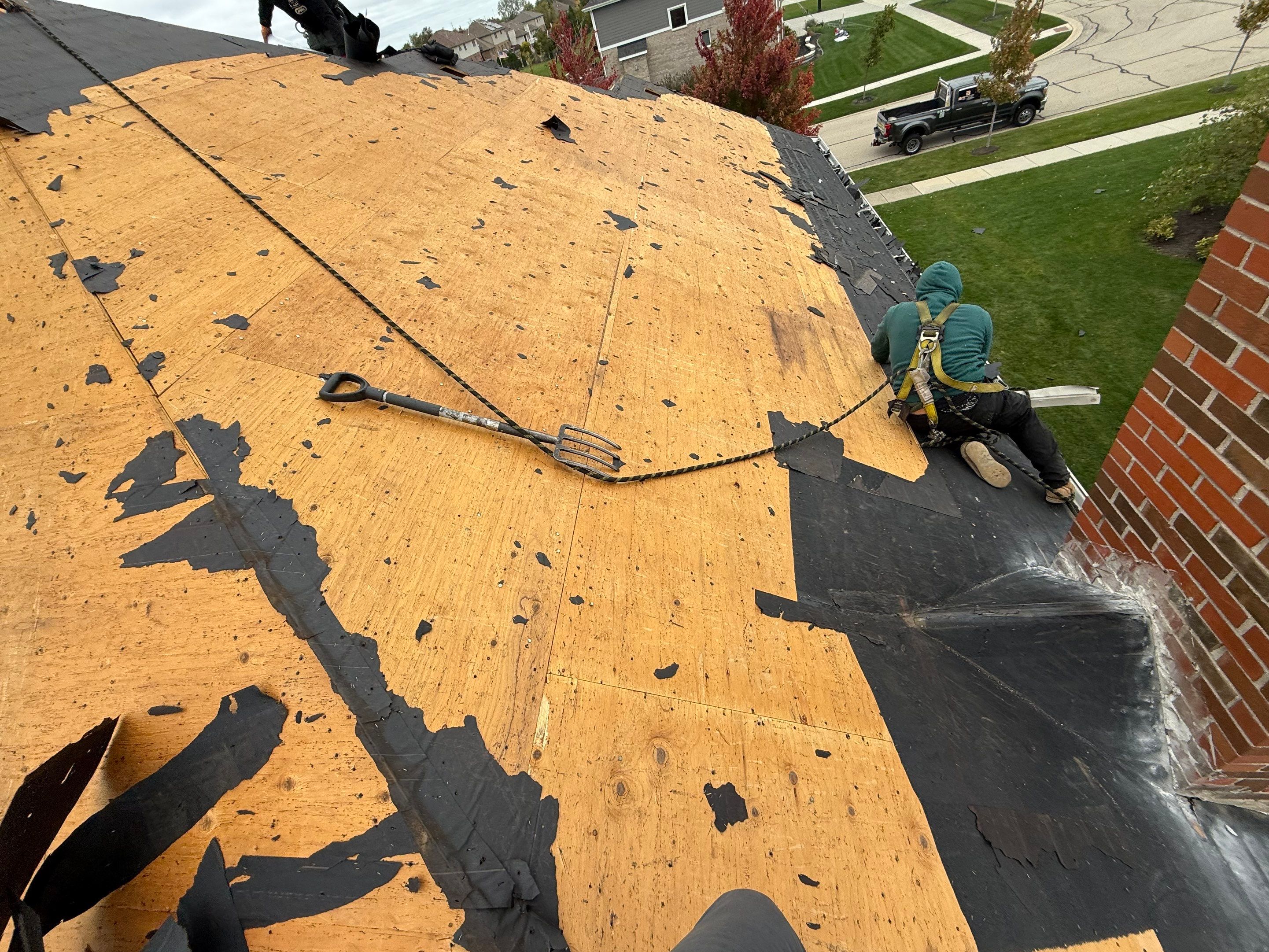 GAF Cedar Falls Roof and Velux windows by Optimal Home Improvement 