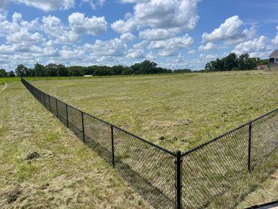 4' Black Chain Link in Cedar Falls