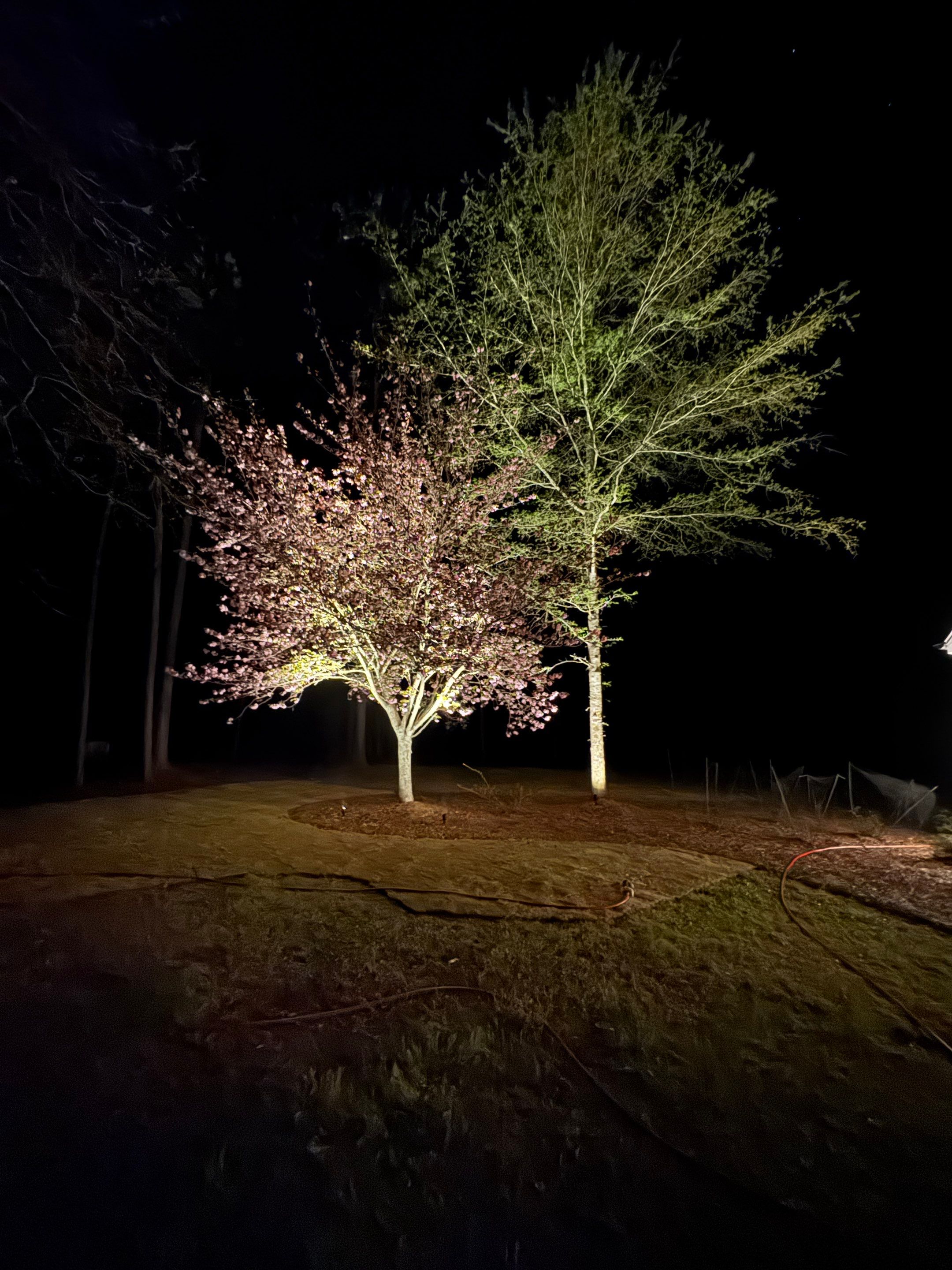 COLD Project by Georgia Outdoor Decor