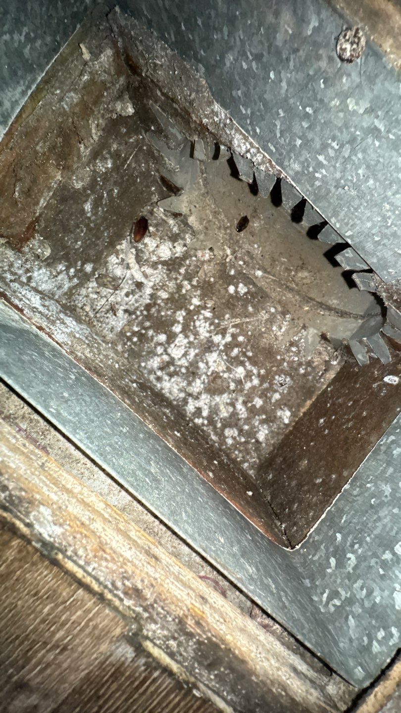 Extremely Dirty Air Duct Cleaning in Fruitland Park by Hygienic Air, Inc