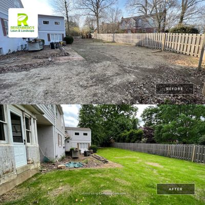 Rear Yard Turf Restoration