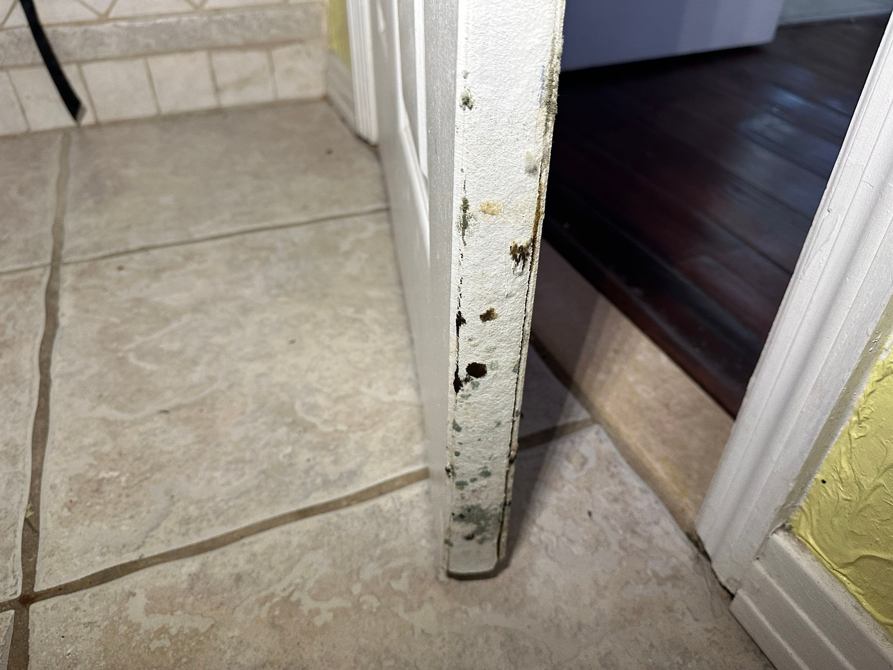 Flood Damage Claim in Tampa  by FLAPA & KeyStone