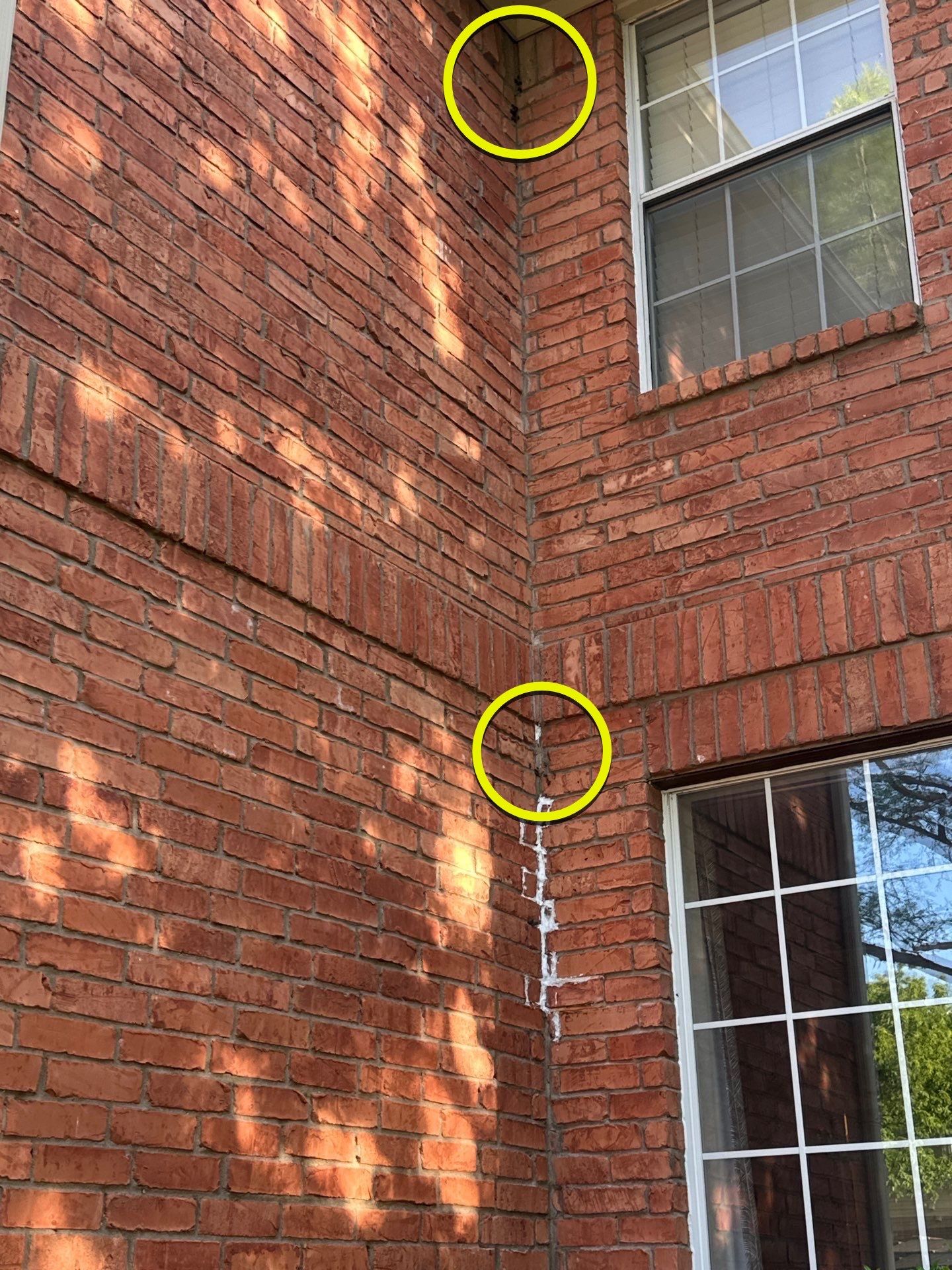 Bees Behind Bricks by Rockwall Honey Bee Company