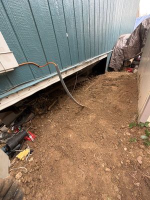 Project in Thornton