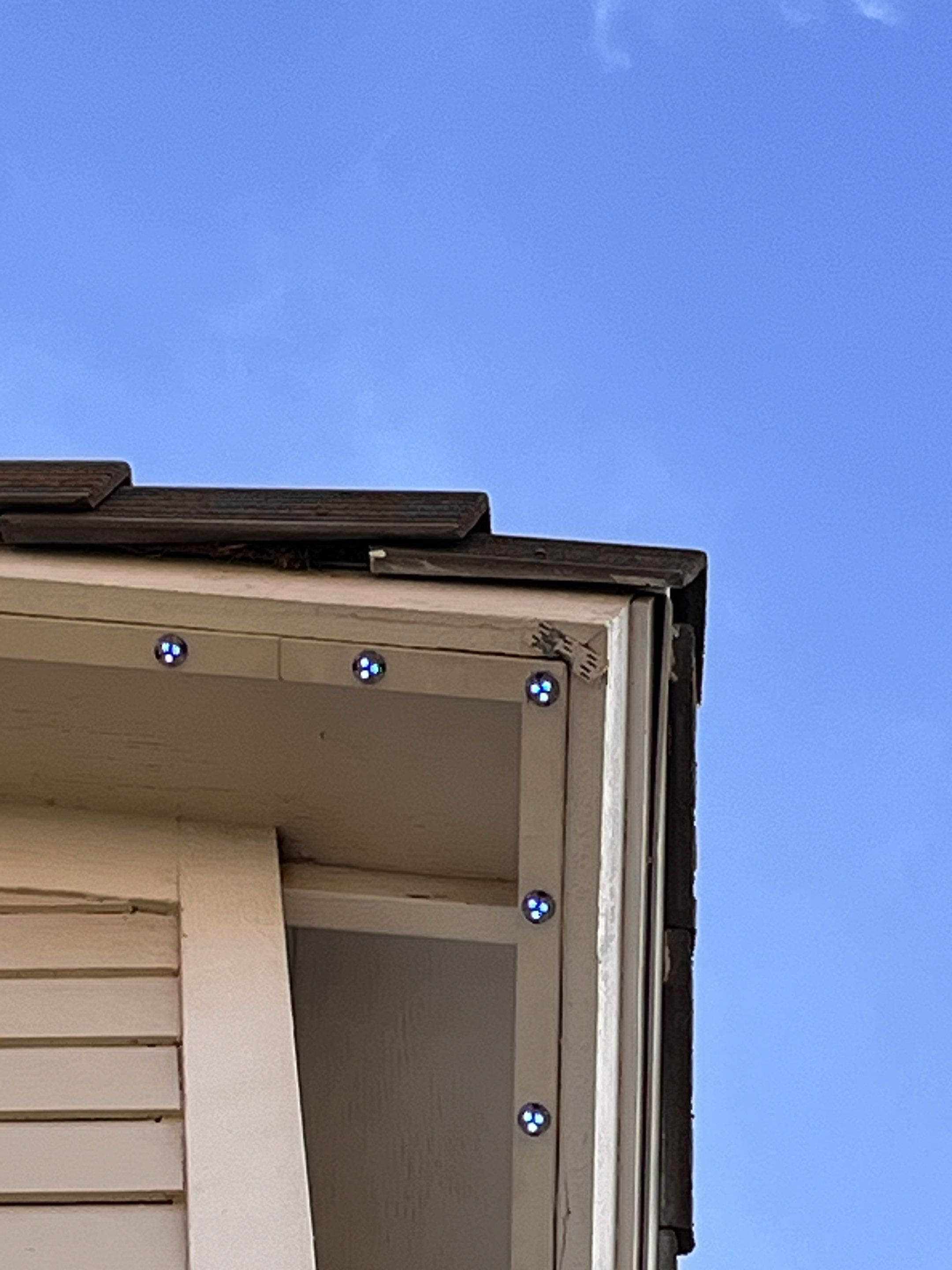 Project in Gilbert by Big Pig Smart Lighting