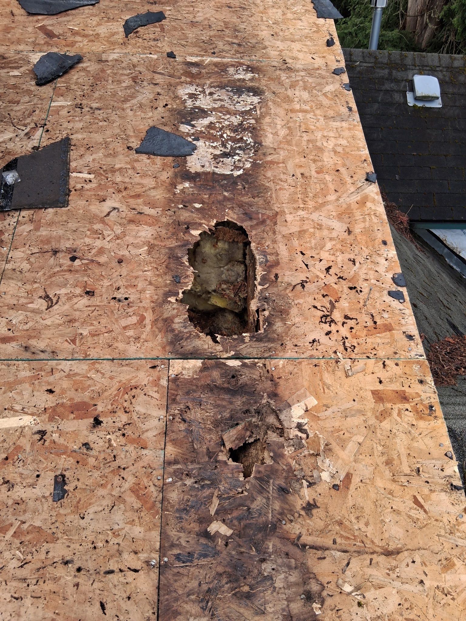Project in Gresham by Tom Leach Roofing