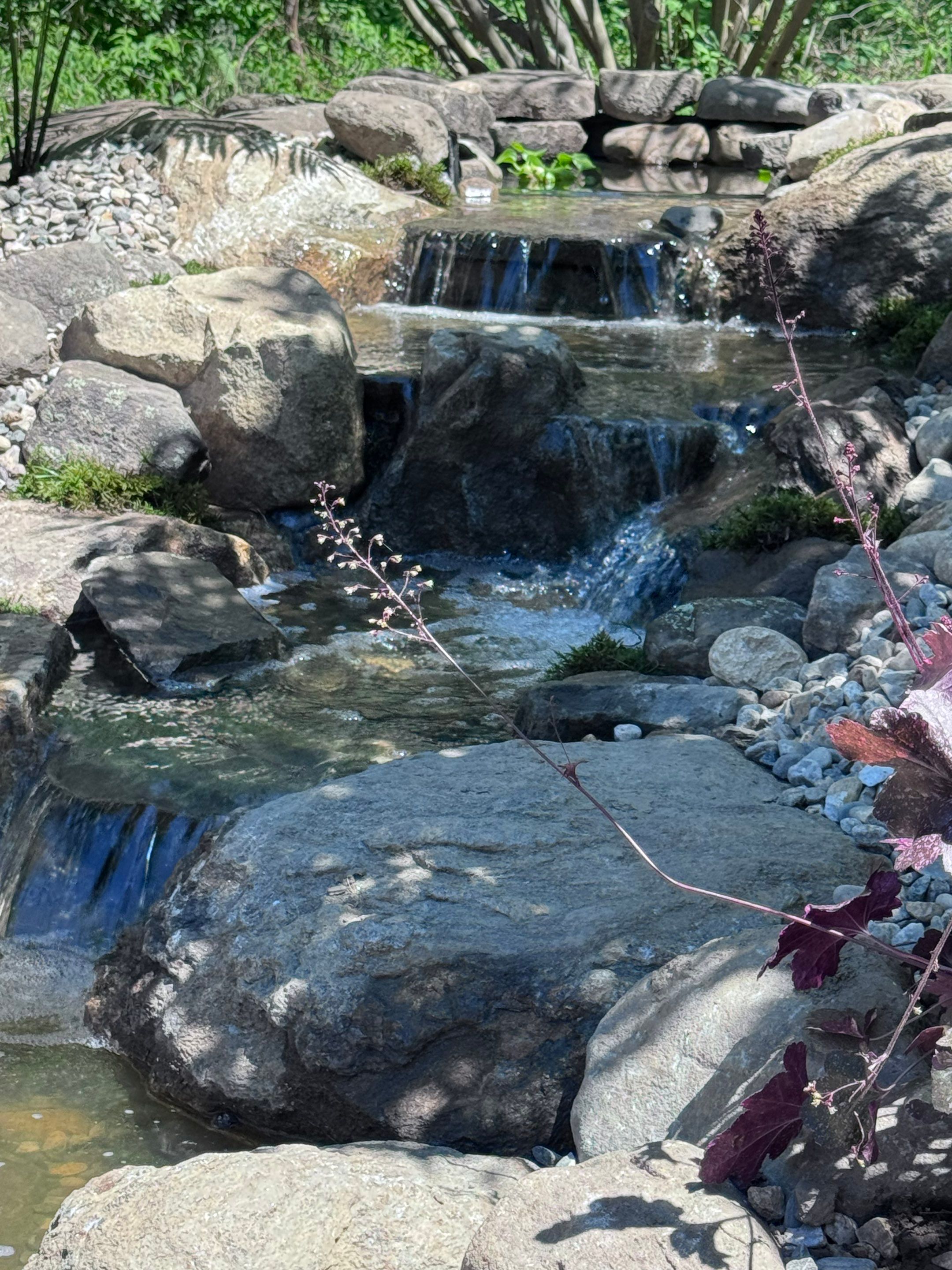 Complete Demo and Rebuild on a Small Pond in Amherst by Wicked Water Gardens