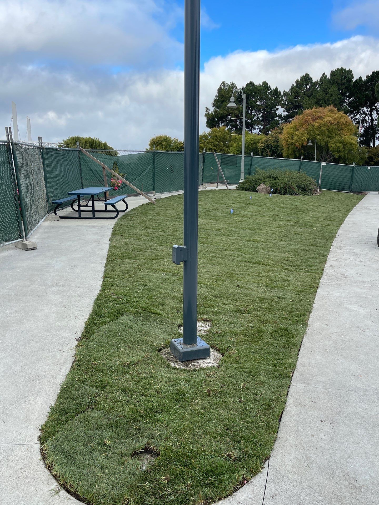 Project in Foster City by A - G Sod Farms