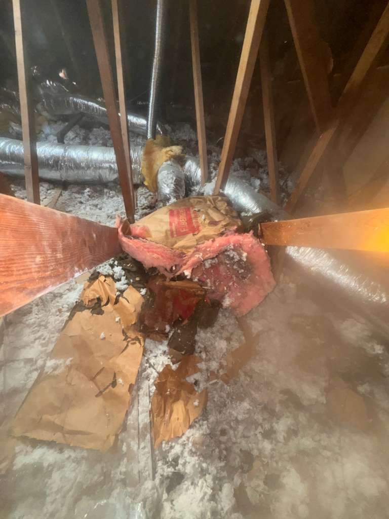 Project in Newport Beach by Advanced Attic Solutions