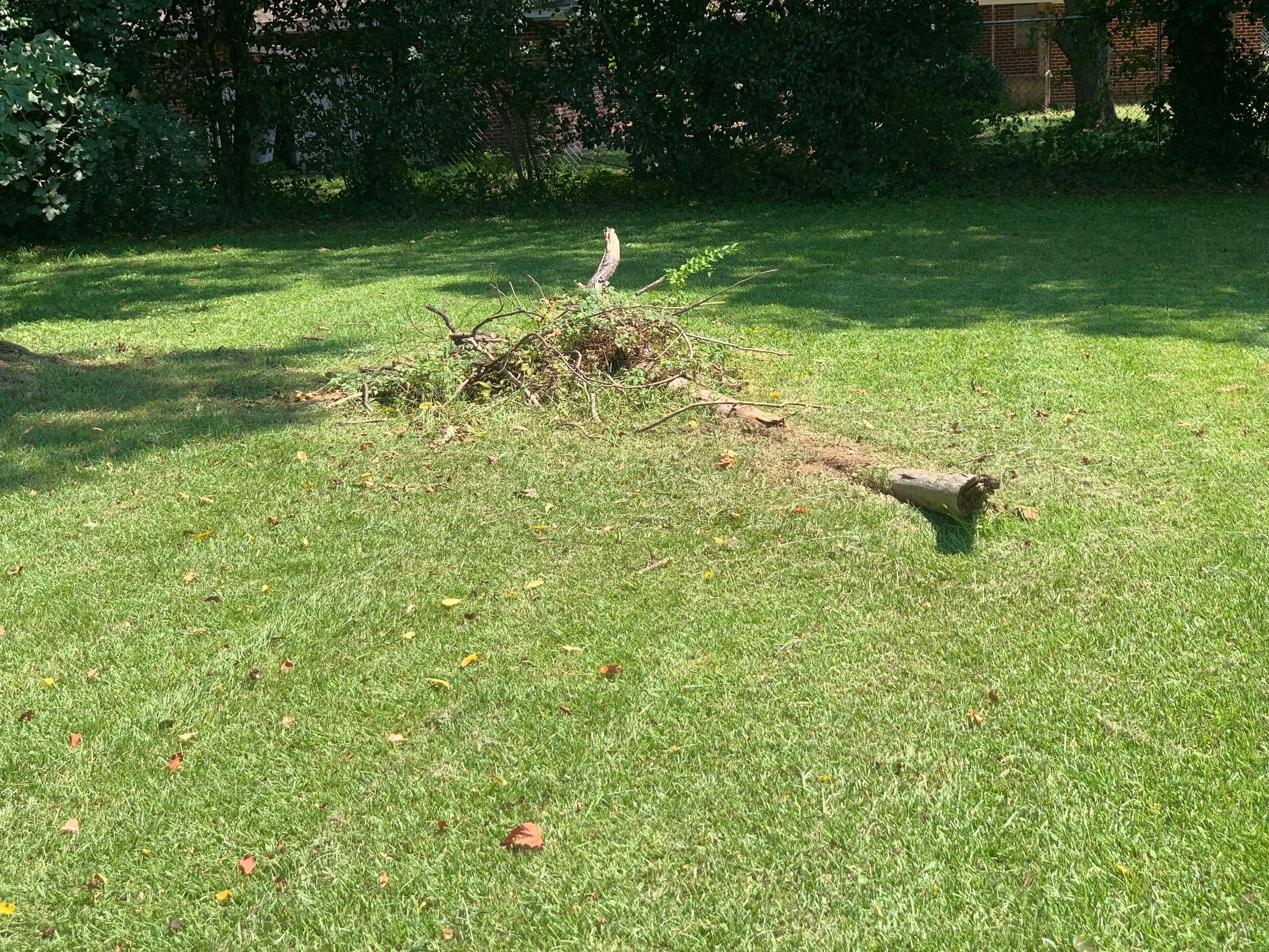 Yard Makeover by College Bros Outdoor services