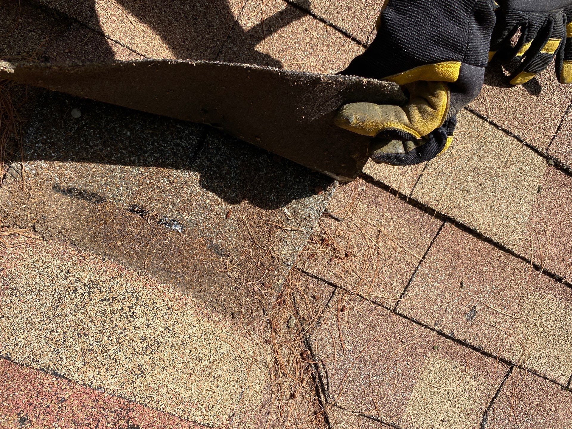 Roof Replacement – Rosalie Brown, MA by Mighty Dog Roofing of Greater Middlesex County