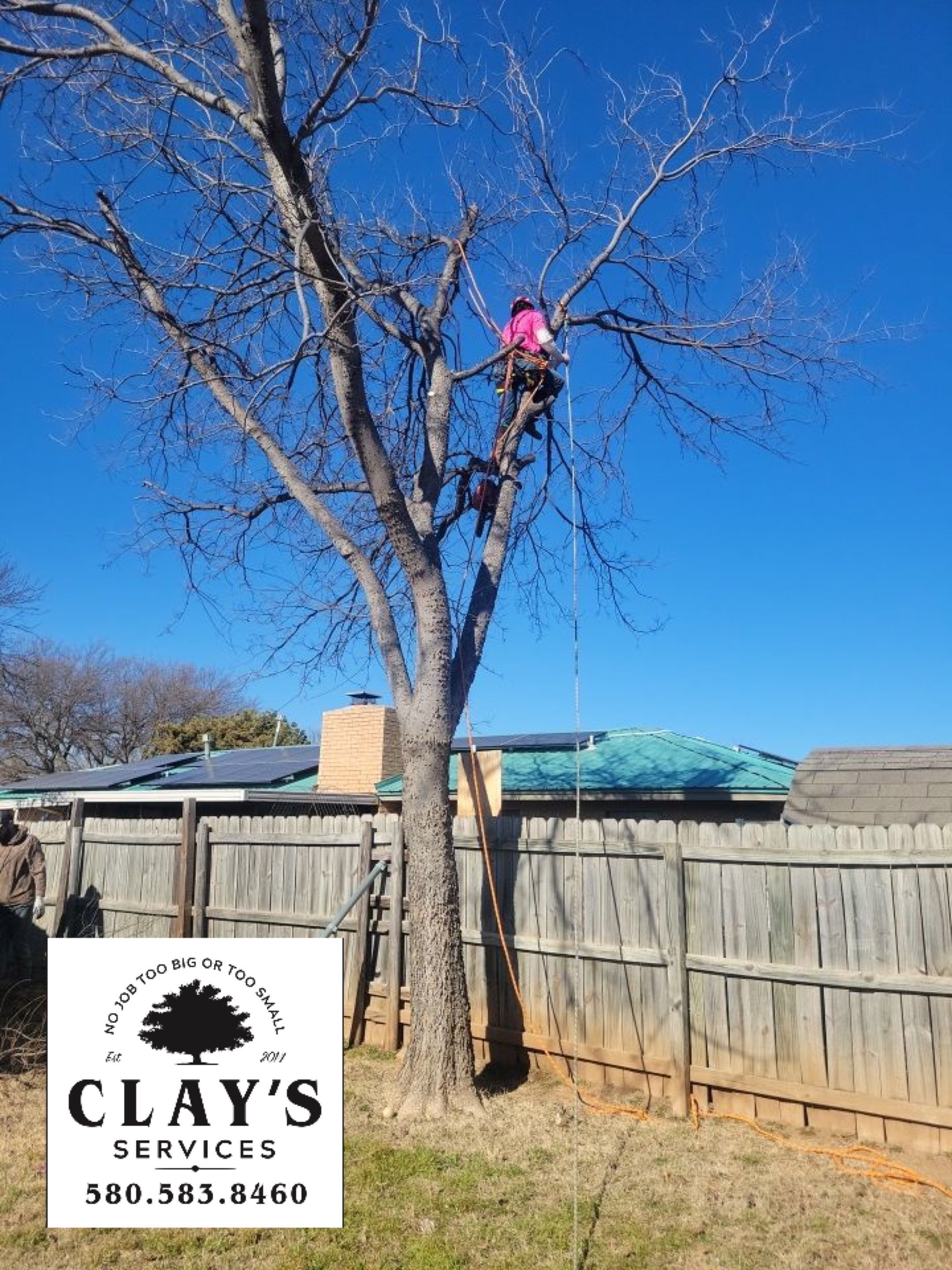 Fence , Concrete Pads , and Tree Removal by Clays Services Inc