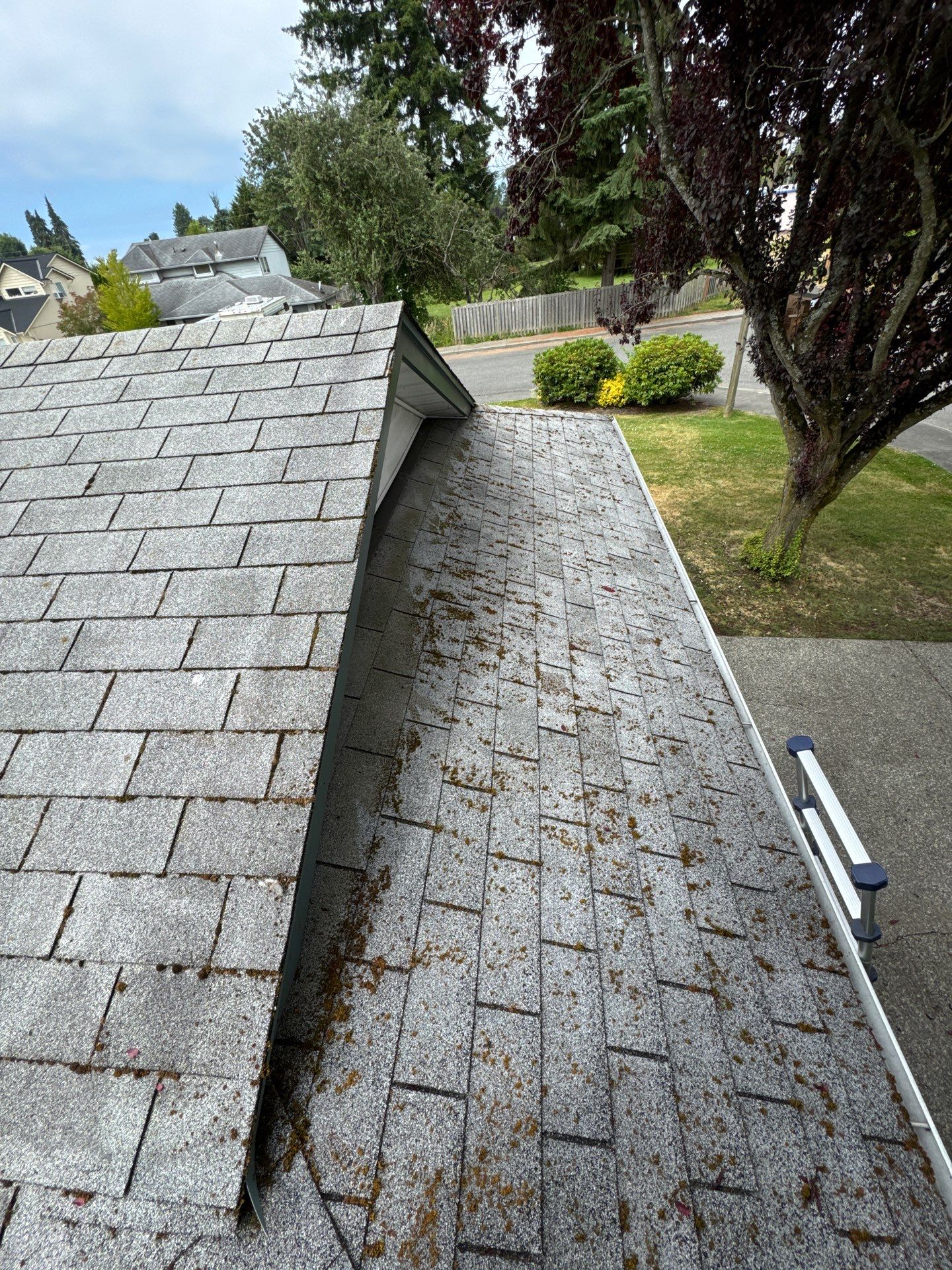 Project in Marysville by Peaks and Valleys Construction