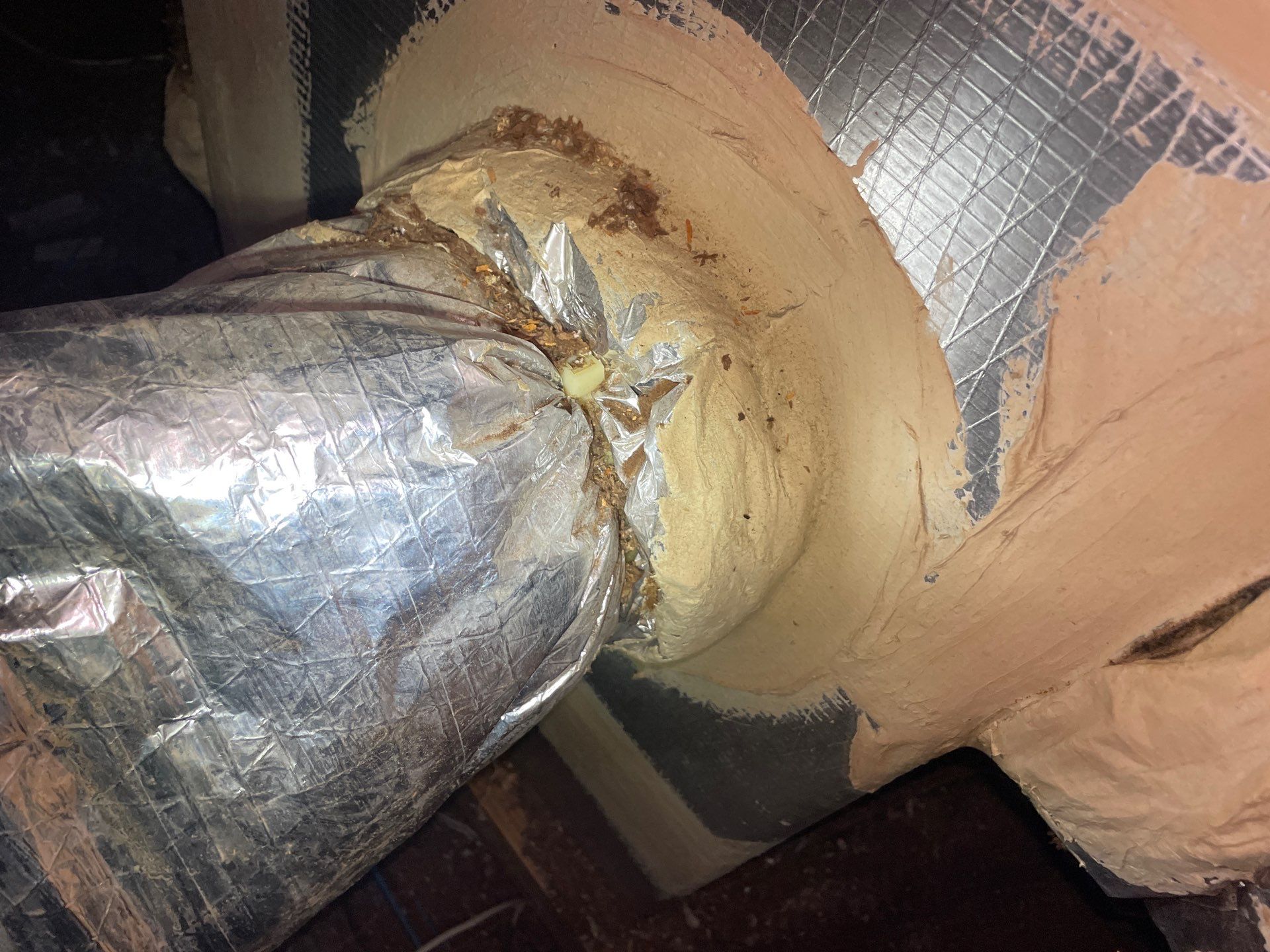 Attic Duct Connections & Exhaust Inspection in Clermont by Hygienic Air, Inc