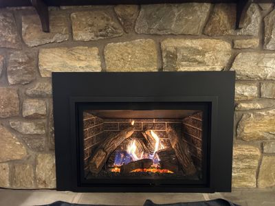 Kozy Heat Gas Insert
