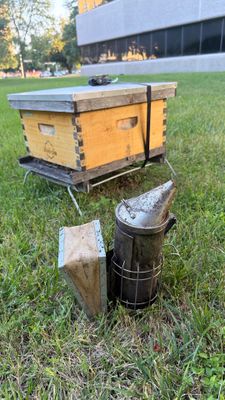 Bees on the Green