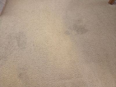 Carpet Cleaning and Stain Removal in Carmichael
