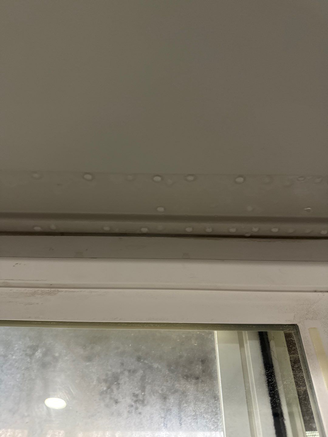 Project in Novi by EzDry Water Mitigation & Property Restoration