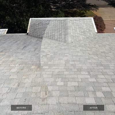 Shingle Roof Cleaning