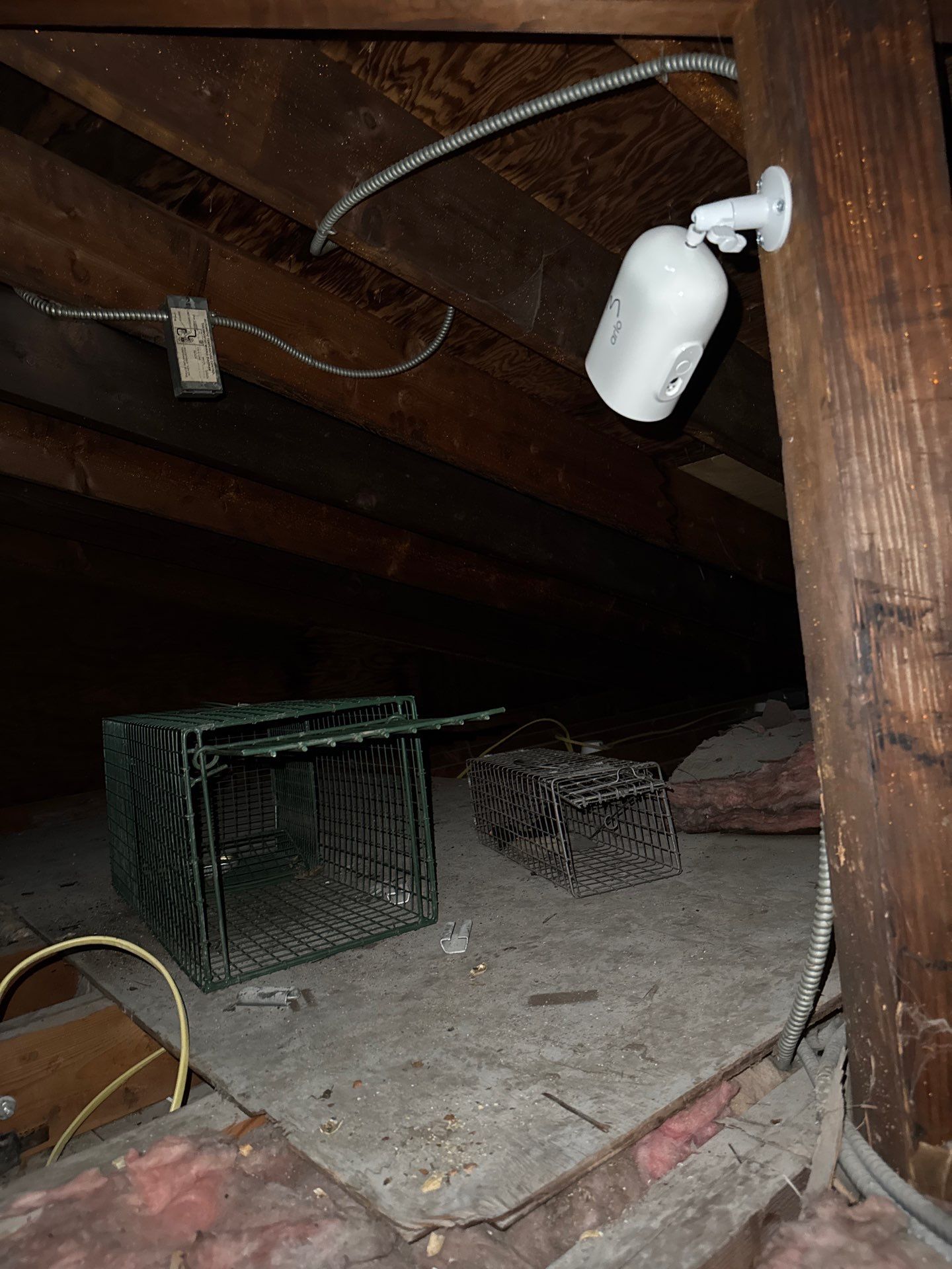 Project in Staten Island  by NYC Extermination LLC