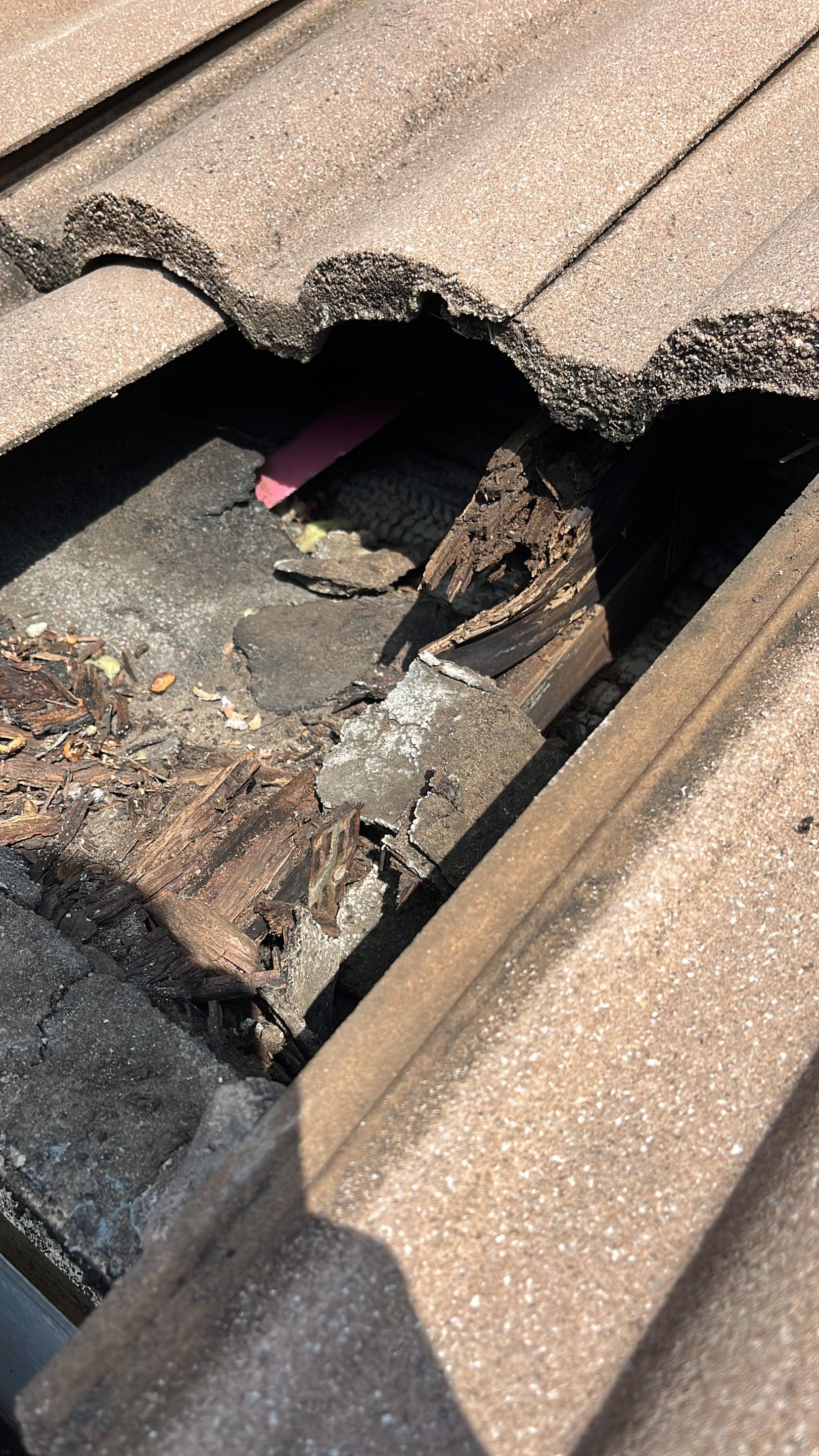 Roof repair due to bird-related damage by The Goat Contractor ( Giampri Corp)