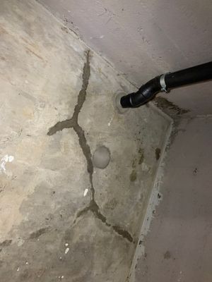 Project in Salem