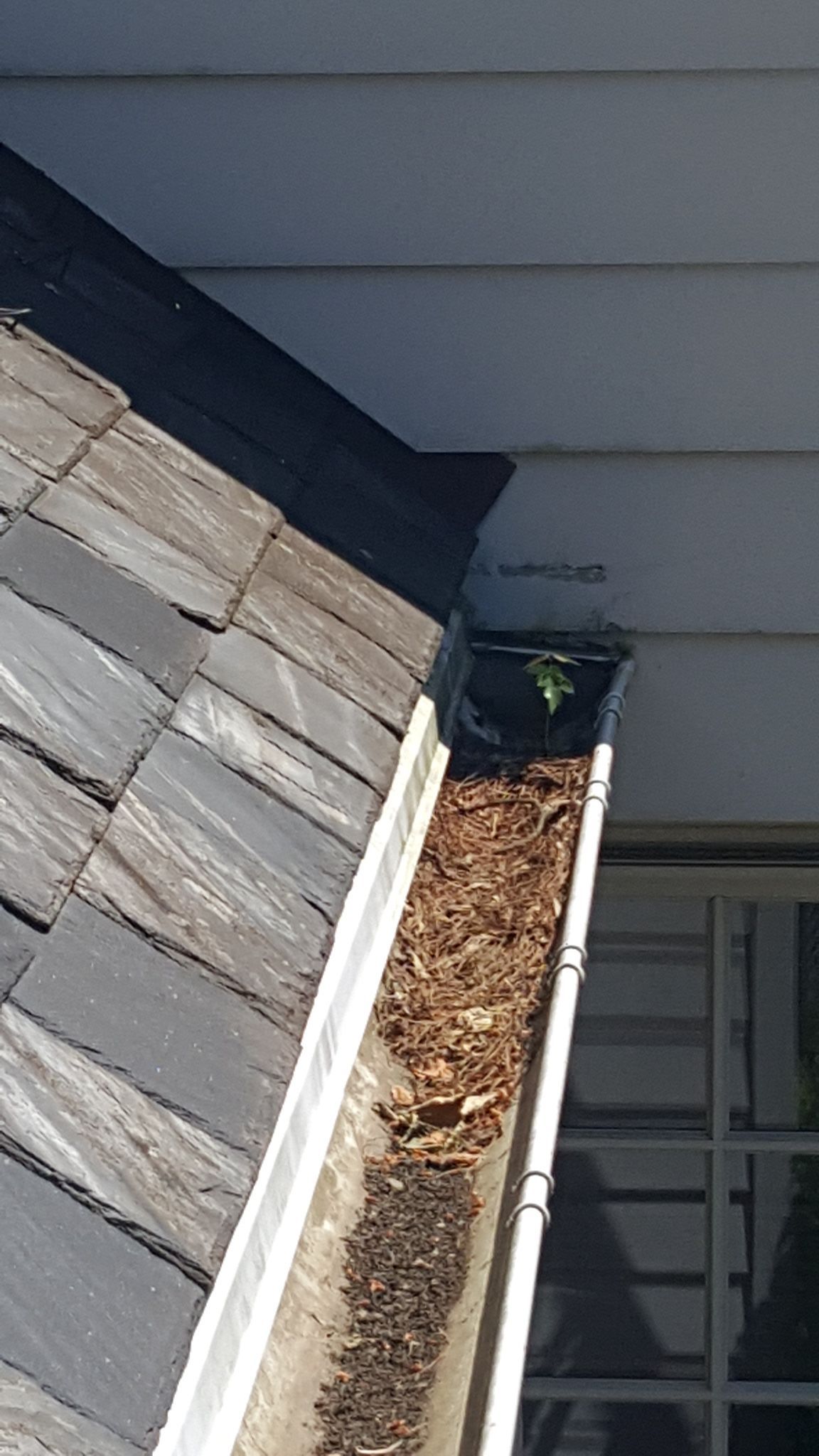 Slate repair in Guilford by Roof Right Inc