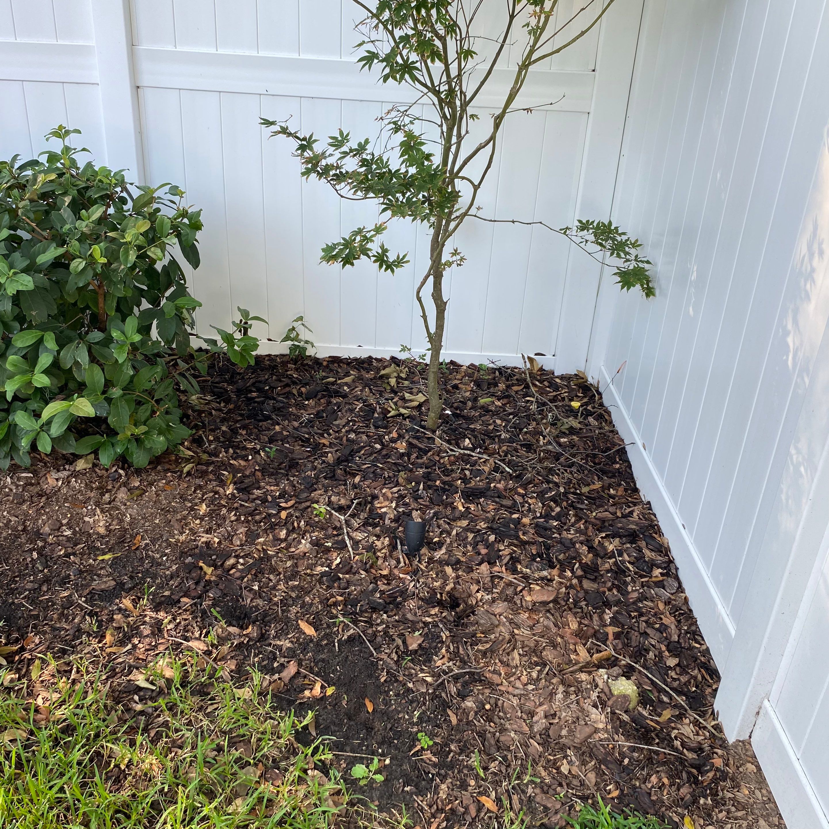 Pine Bark Install | Residential by ProGreen Services