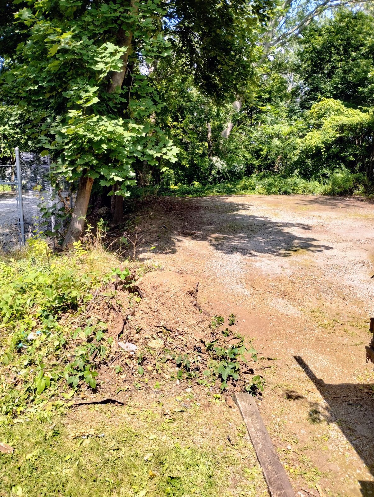 Tree Trimming using Tree Pruing by Mike Jones & Sons Tree Service LLC 