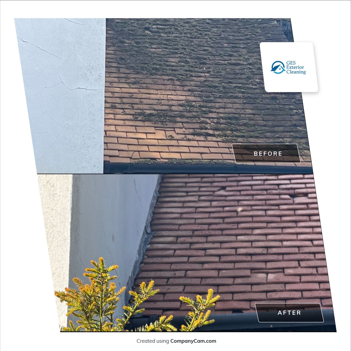 Roof Clean  - Moss Removal - Gutter Clean using Honda 15lpm Low Pressure Washing Machine by Ges Exterior Cleaning ltd