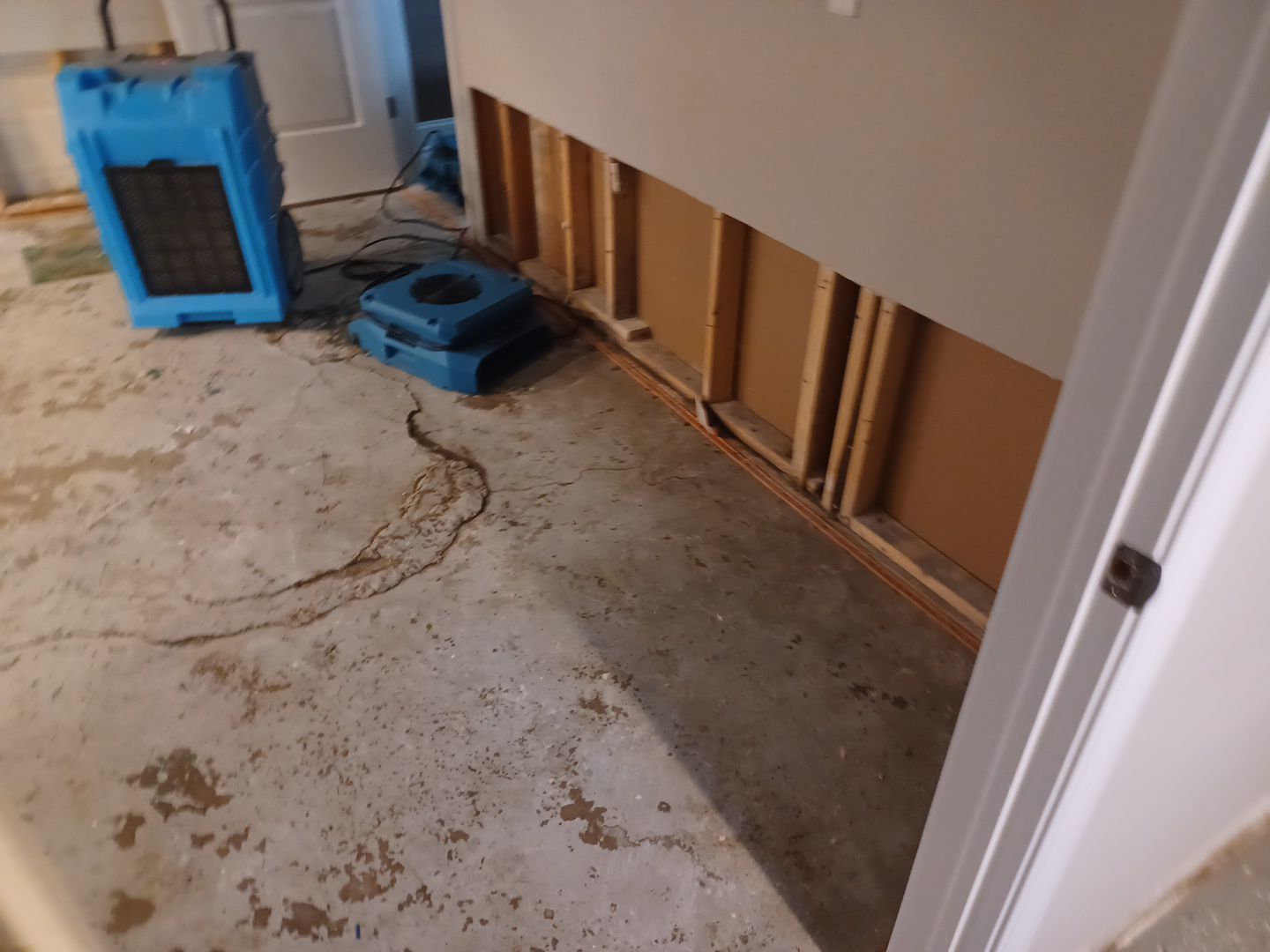 Project in Royal Oak by EzDry Water Mitigation & Property Restoration