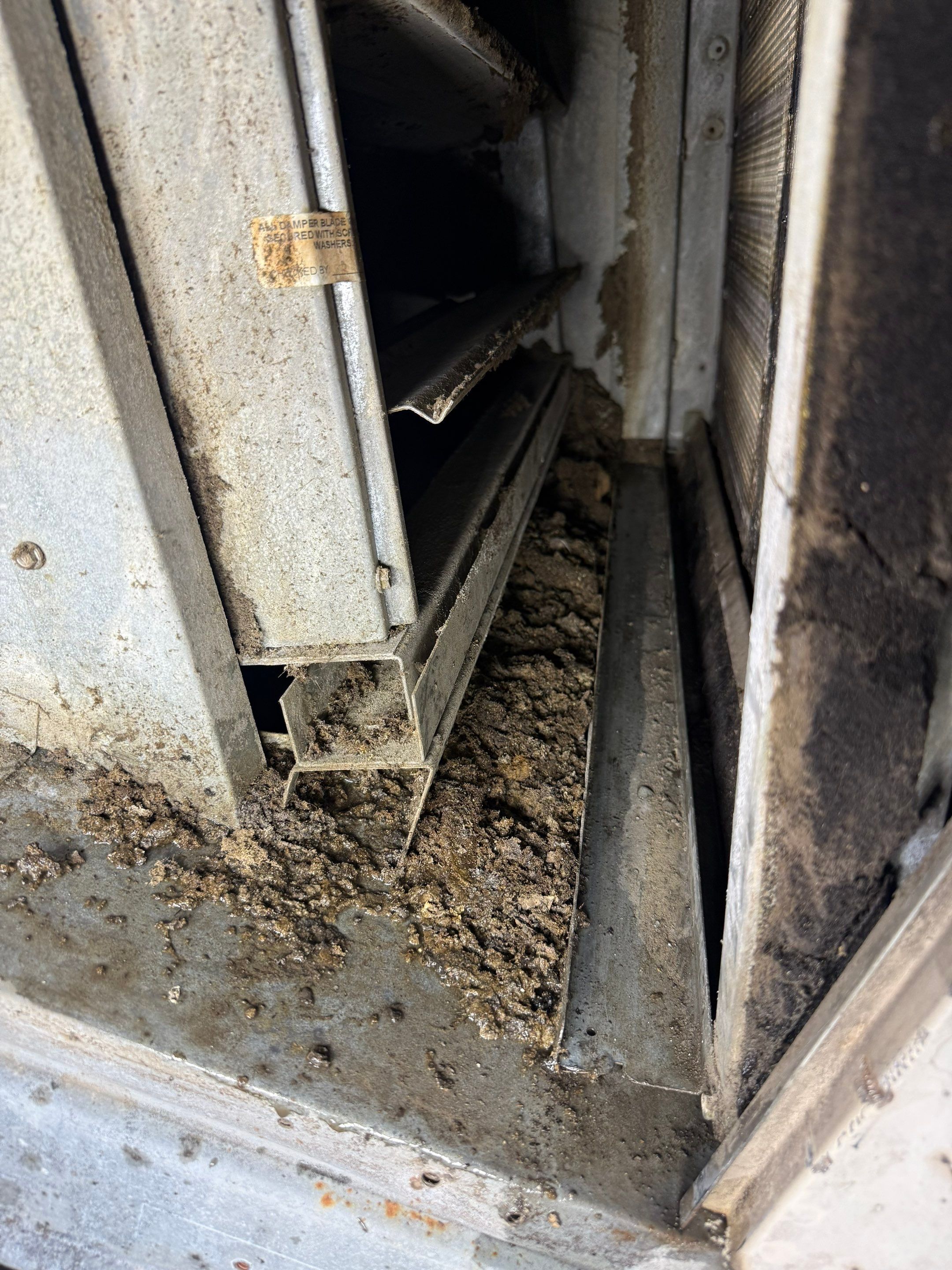 Southern Kitchen Duct Cleaning in New Market by Elemental Heating and air conditioning LLC