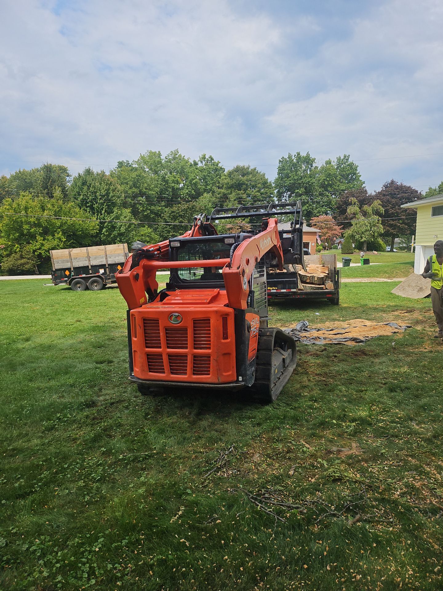 Tree Removal using Tree Removal by Mike Jones & Sons Tree Service LLC 